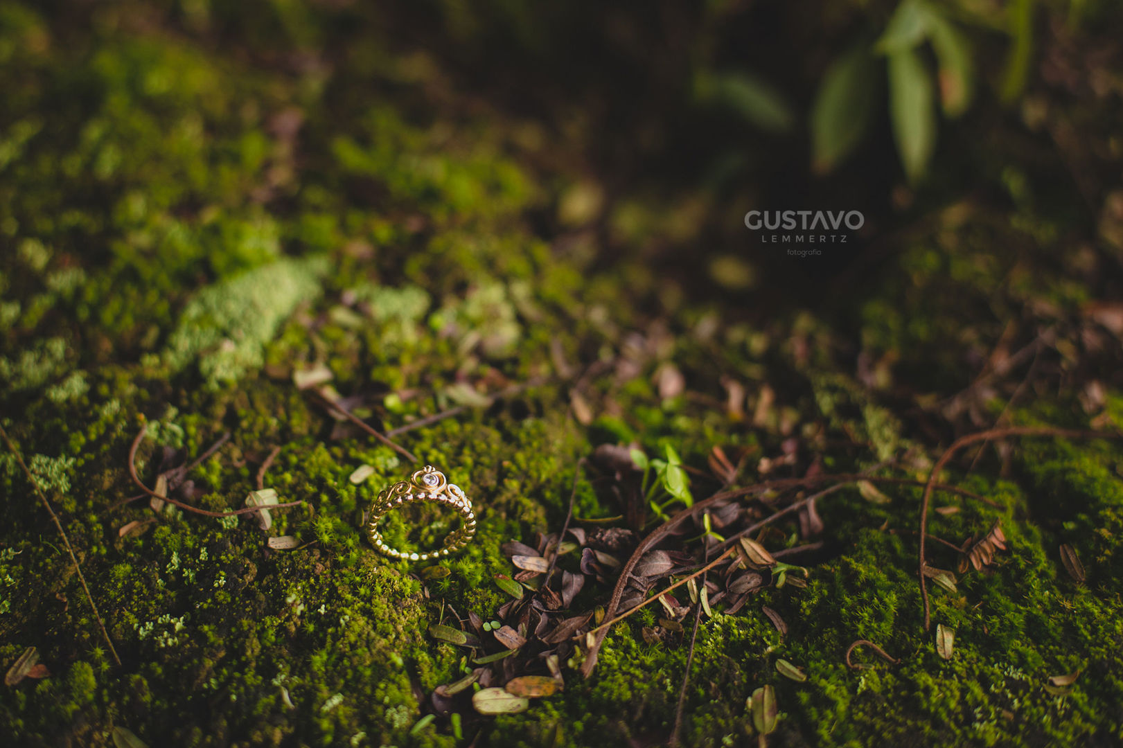 Foto Ensaio Pré Casamento no Jardim Botânico - Talita e Roberto - Imagem 13