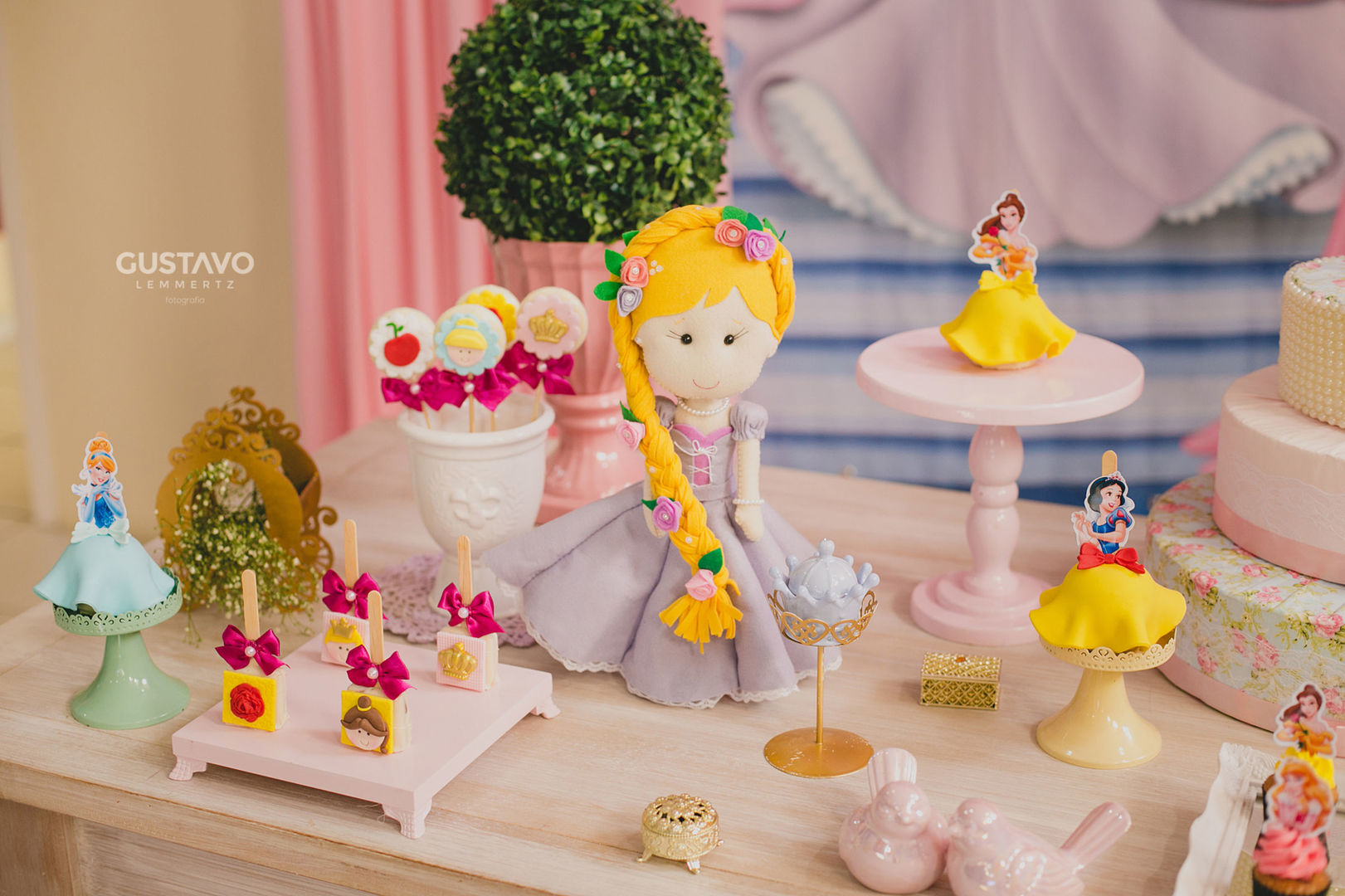 Foto Aniversário Infantil - 5 Anos Yasmin - Imagem 0