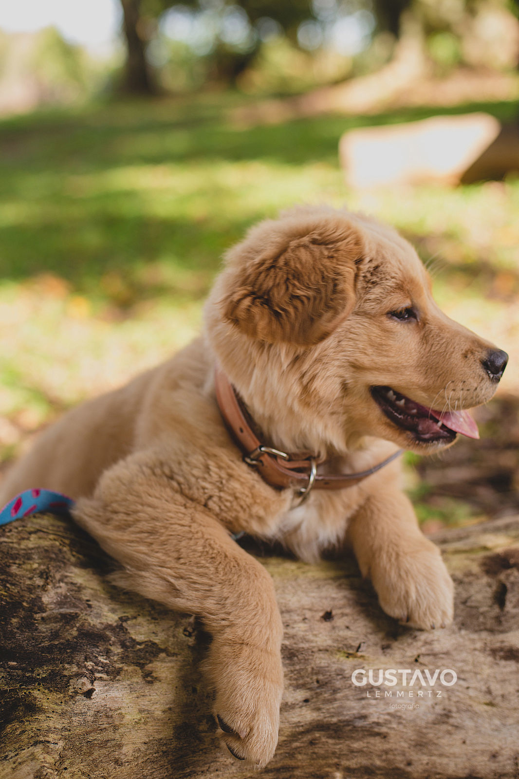 Foto Ensaio Casal - Elisiane e Everton - Imagem 2