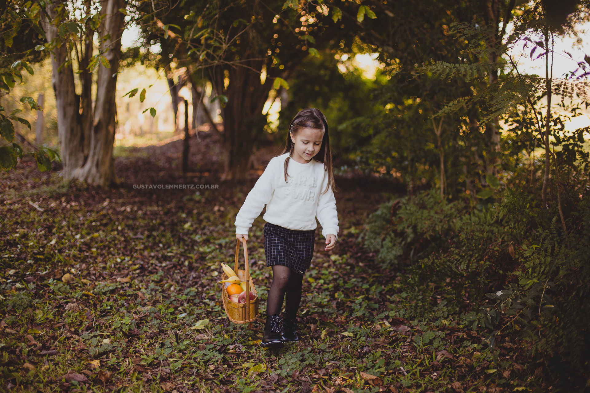 Foto Aniversário com Pic Nic - Lívia 5 Anos - Imagem 1