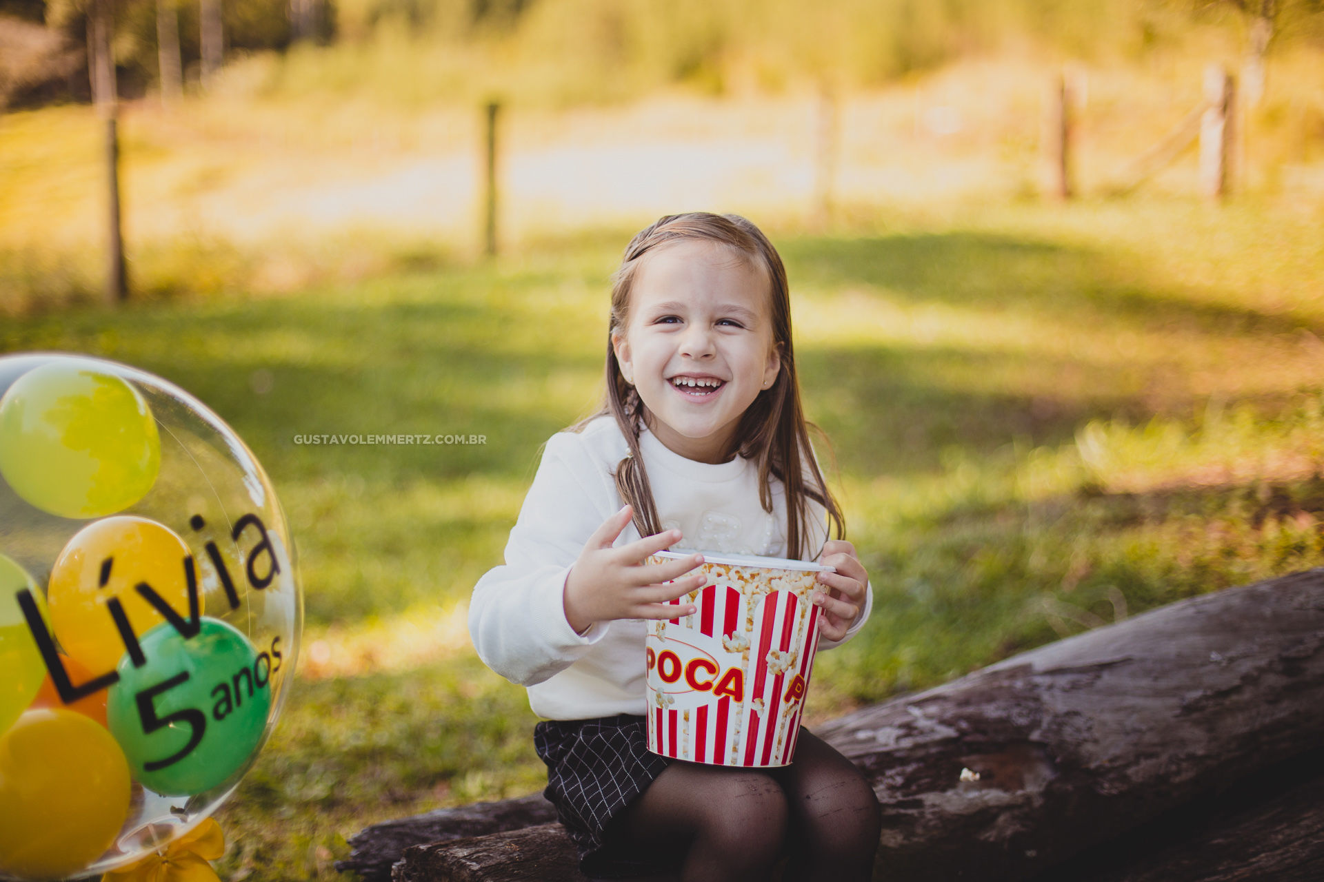 Foto Aniversário com Pic Nic - Lívia 5 Anos - Imagem 5