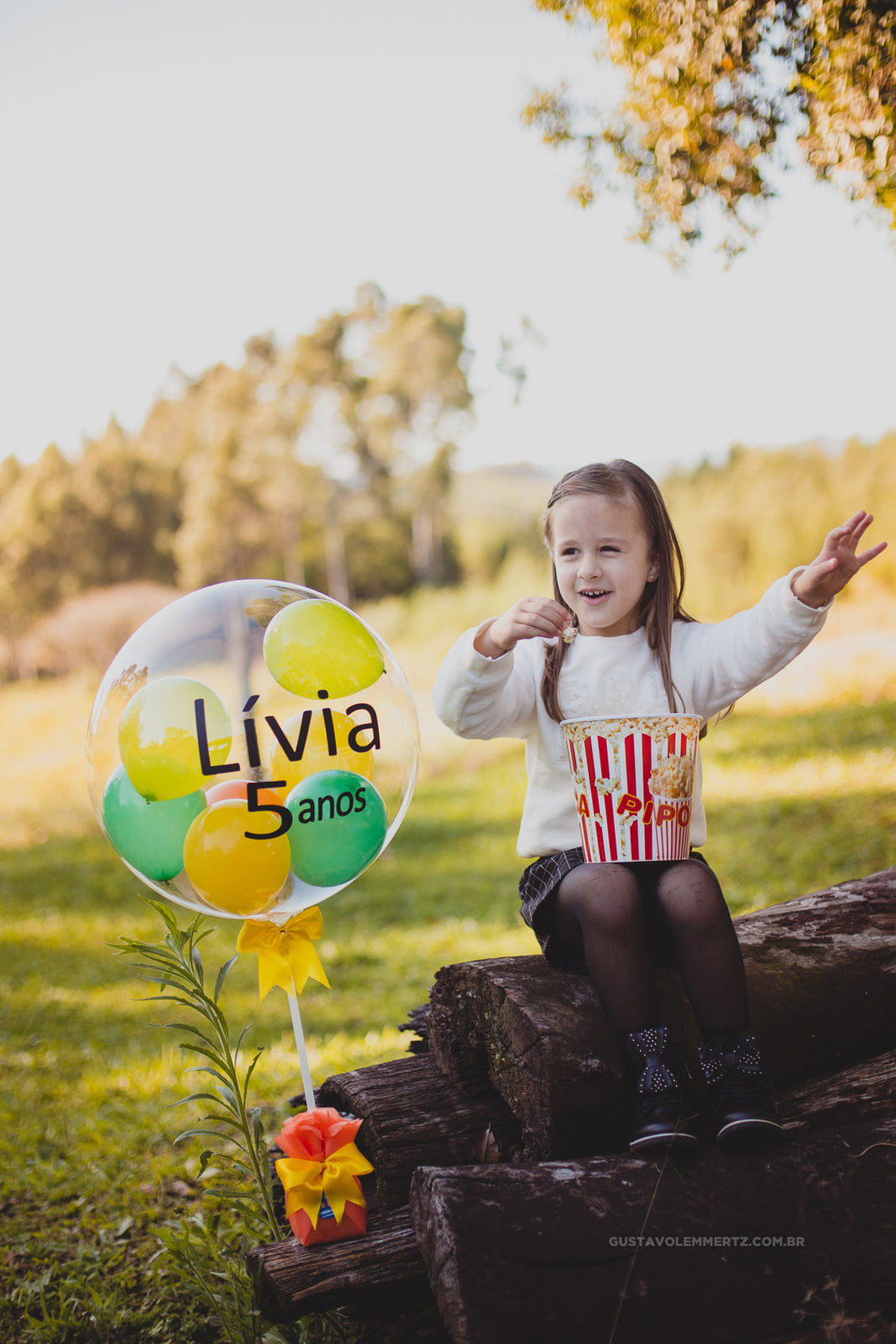 Foto Aniversário com Pic Nic - Lívia 5 Anos - Imagem 3